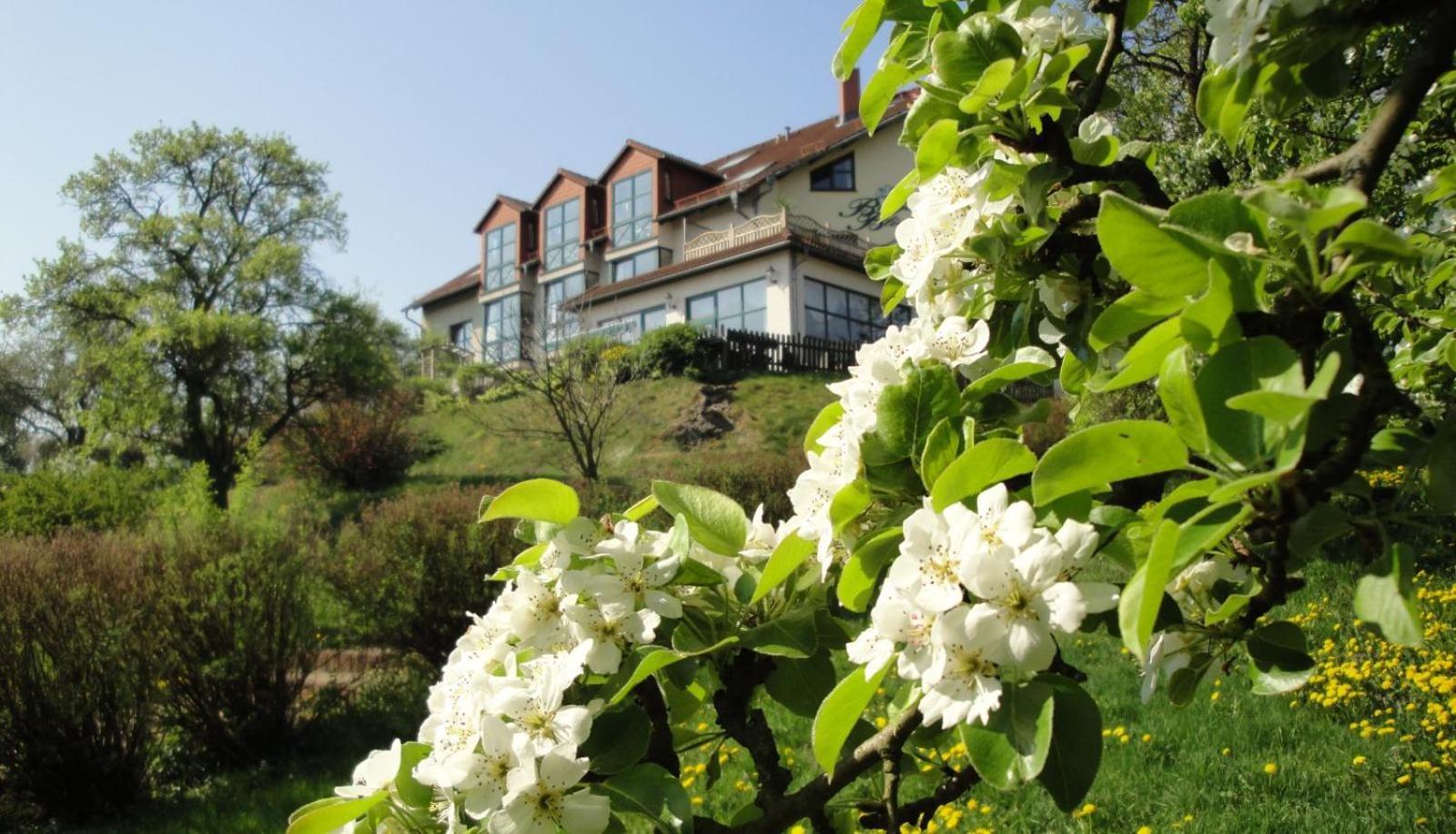 Hotel Burgenblick 3*