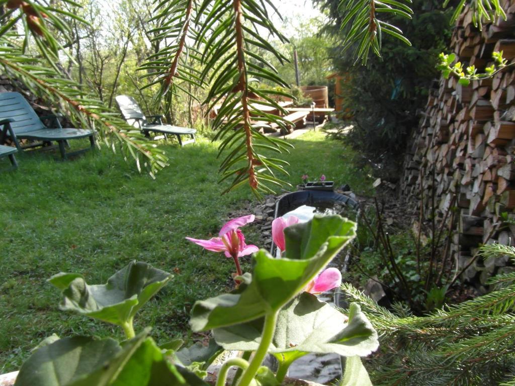 Landhotel Burgenblick