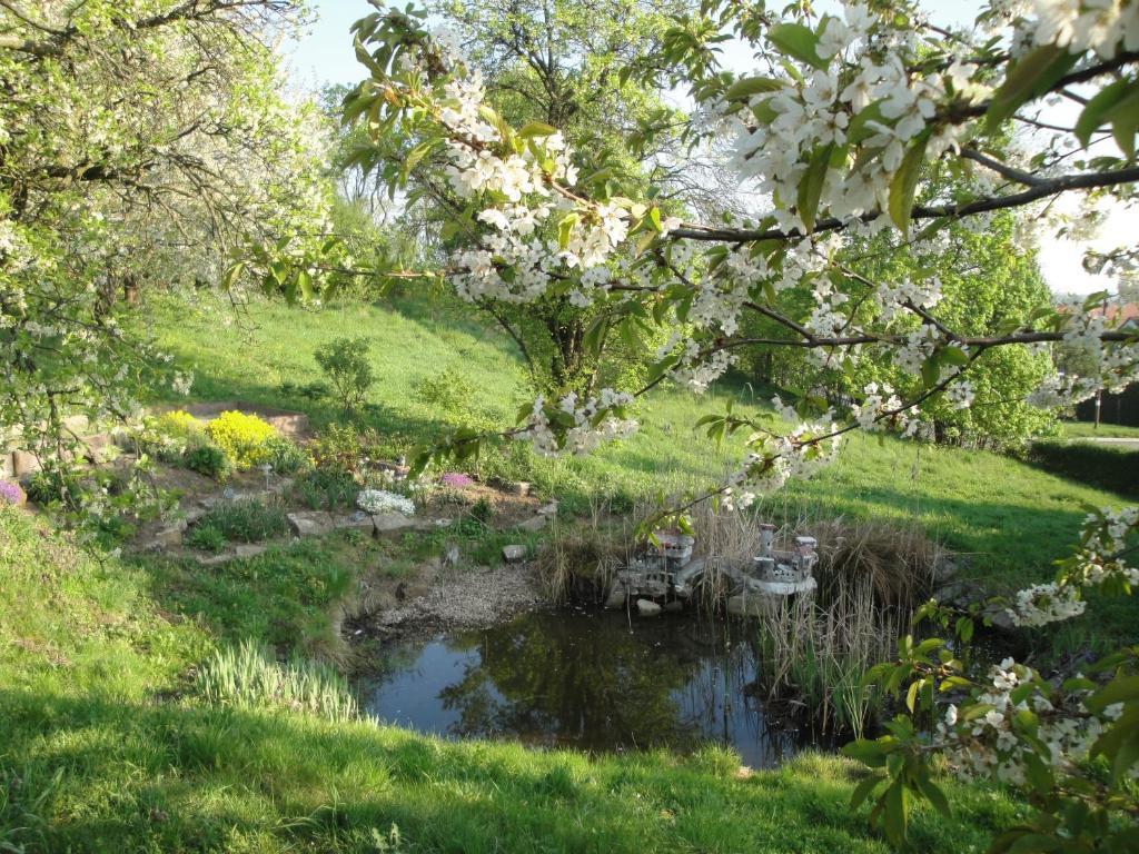 Burgenblick Hotel 3*